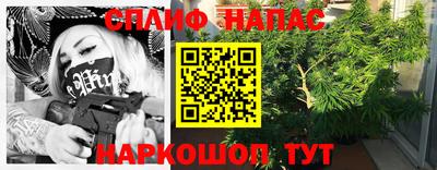 мдпв Славгород