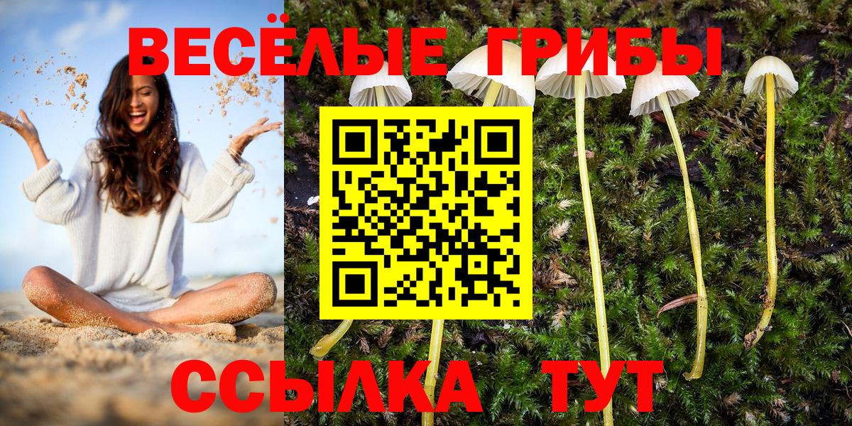 Псков  Галлюциногенные грибы Cubensis  Вход с VPN  Псилоцибиновые грибы Cubensis 