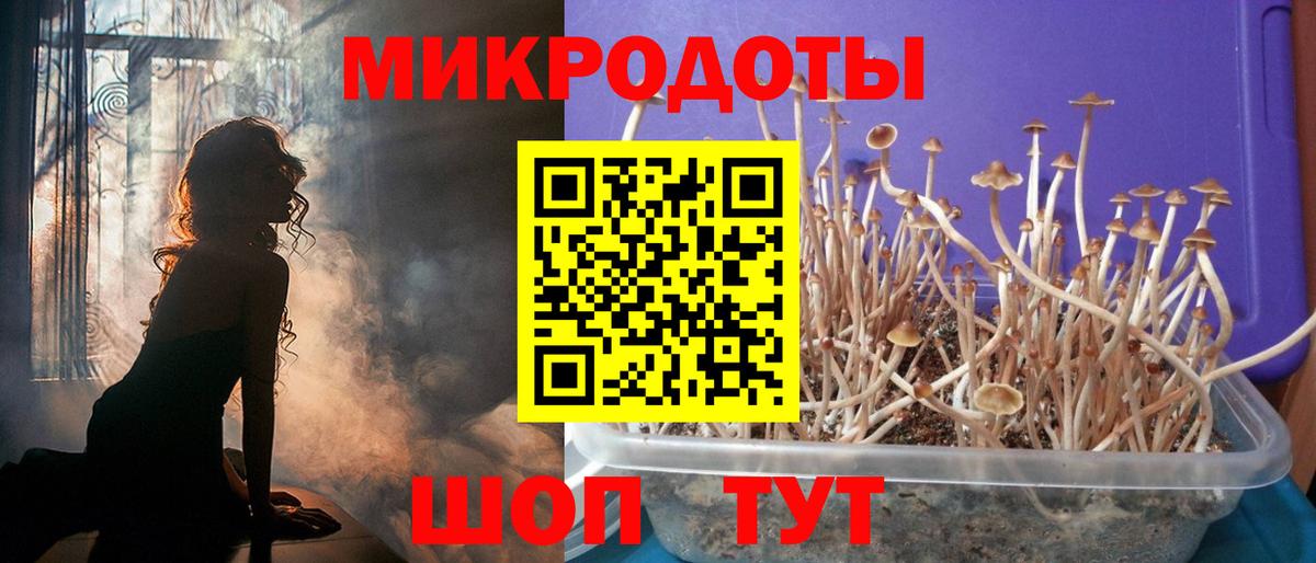 Псилоцибиновые грибы Magic Shrooms Псков